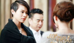 女总裁的电视剧