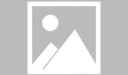 性转动漫,探索动漫中的性别转换魅力